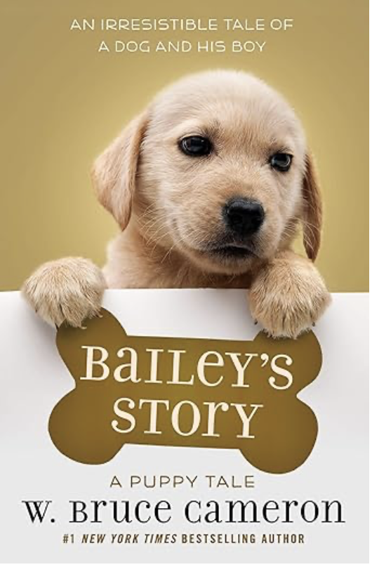 Bailey's Story
