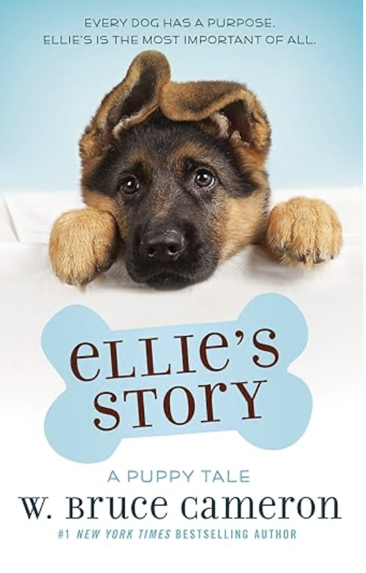 Ellie's Story