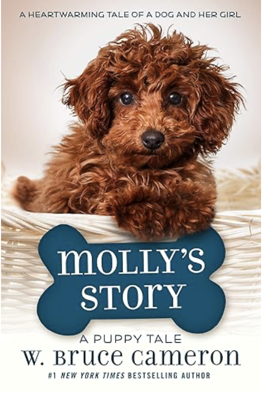 Molly's Story