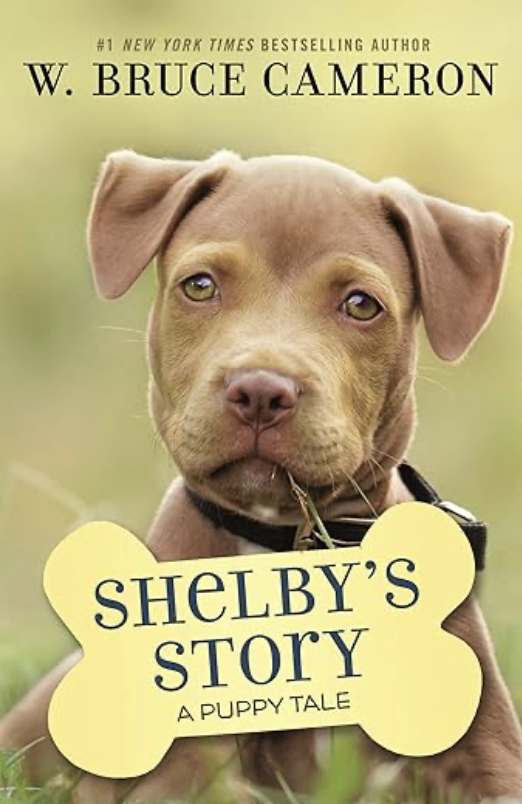 Shelby's Story