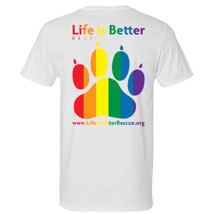 Rainbow Tee Back