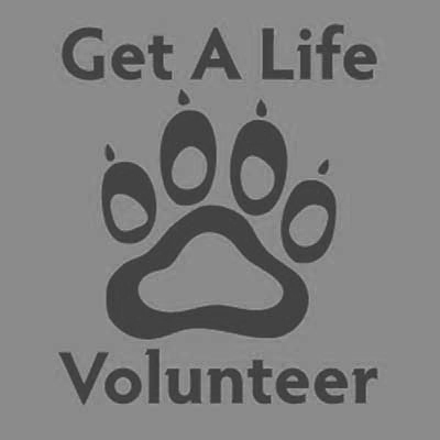 Volunteer Grey Tee