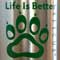 Water Bottle Closeup