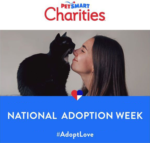 Petsmart Charities National Adoption Week Image and Date